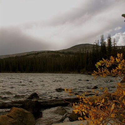 Fall in Wyoming