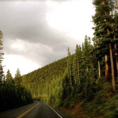 Through the Woods-Rocky Mountain National Park Trail Ridge Road