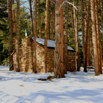 Cabin in the Woods