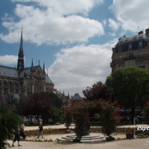 Notre Dame and the Park