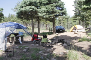 Alvarado Campground - Site 43