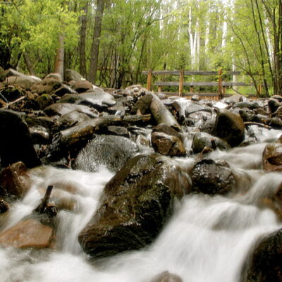 The Brook